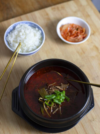 Yukgaejang, spicy beef stew