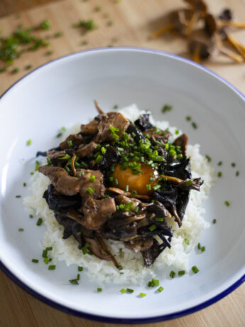 Mushroom donburi - Rice bowl with mushrooms and a soy cured egg yolk