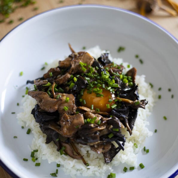 Mushroom donburi - Rice bowl with mushrooms and a soy cured egg yolk