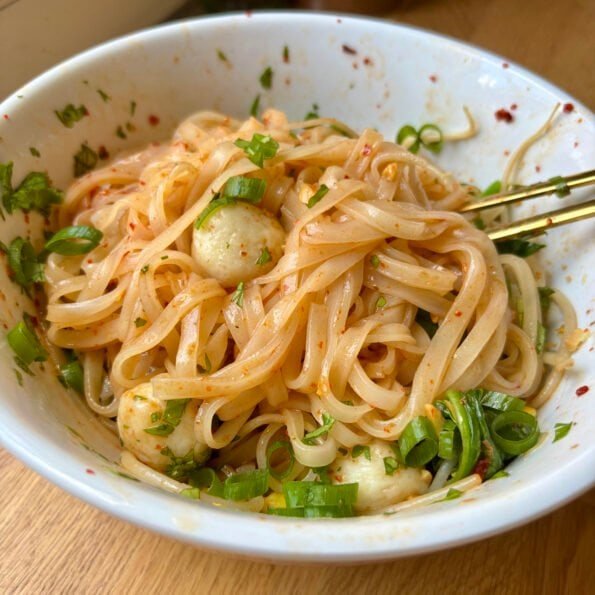 Shiny rice noodles with fishballs and green onion, coated in a luscious reddish sauce