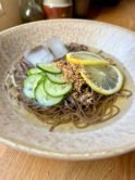 Soba noodles in a very clear broth, topped with extra thin cucumber slices and lemon slices, sesame seeds and two ice cubes