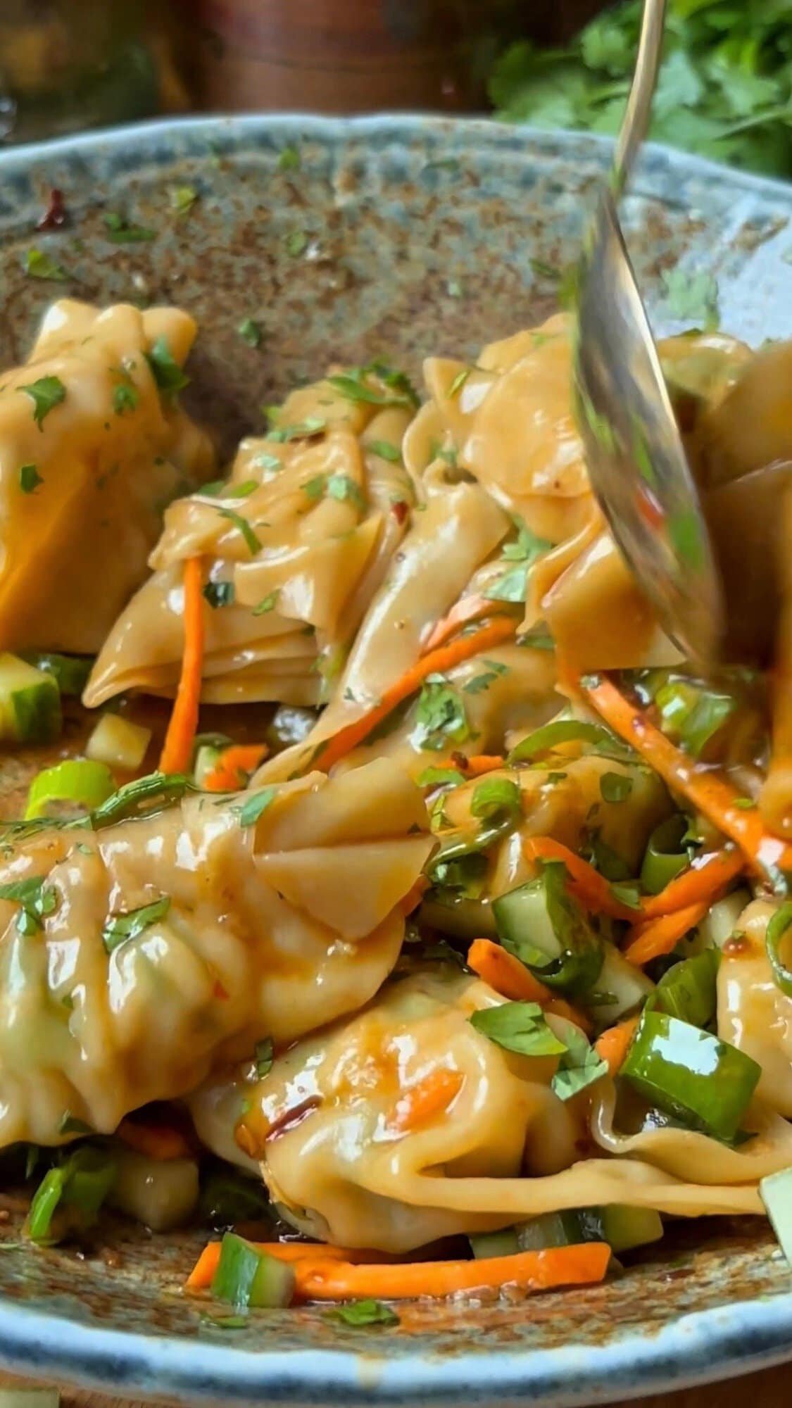 Dumpling Salad