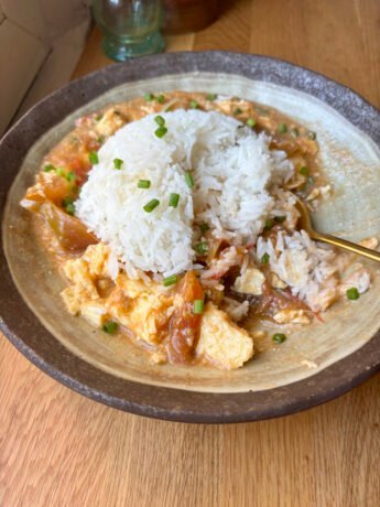 Saucy tomato & eggs with white rice and scallions