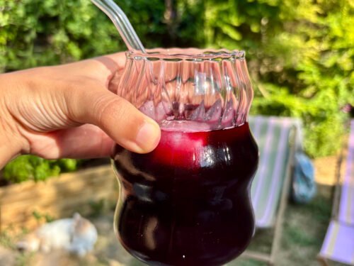 Traditional Bissap